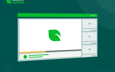 Video Ads for E-Commerce: Infographic